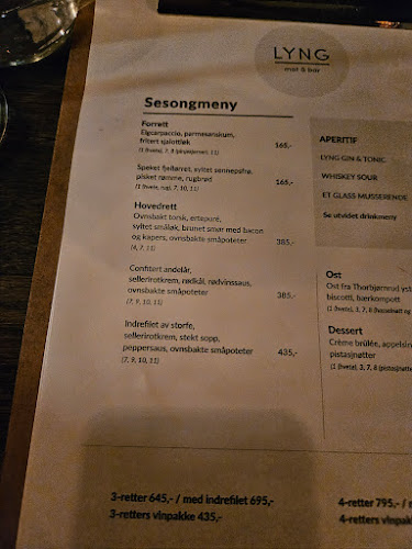LYNG mat & bar - Restaurant på Lillehammer - Gastronomi og hotellvirksomhet