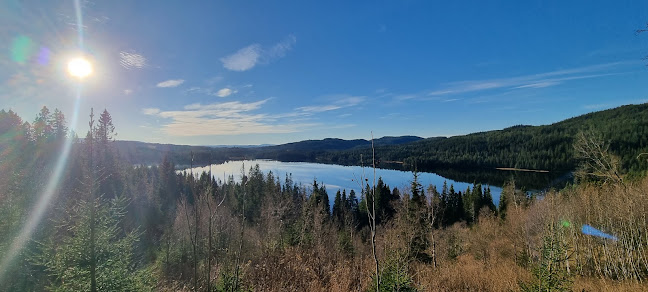 Opinii despre Grønlia în Trondheim - Gastronomi og hotellvirksomhet