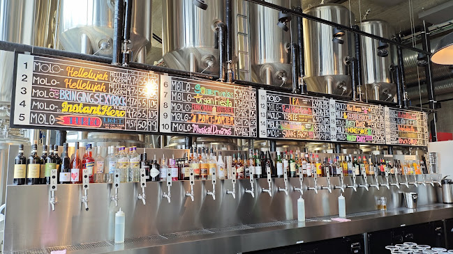 Molo Brew - Ålesund