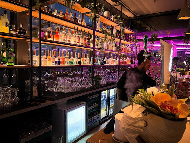 Comentarii opinii despre 360° Xhibition