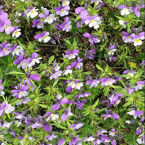 Mikro'n Møllebyen - Gastronomi og hotellvirksomhet