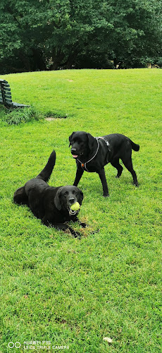 Stensparken Cafe - Oslo
