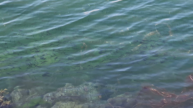 Klakkskjæret pub og restaurant AS