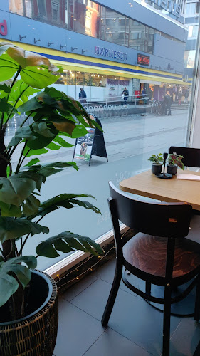 King Falafel - Gastronomi og hotellvirksomhet