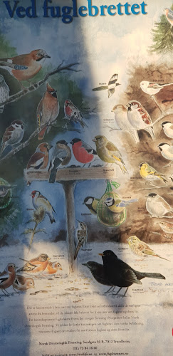 Trondheim, 7024 Trondheim