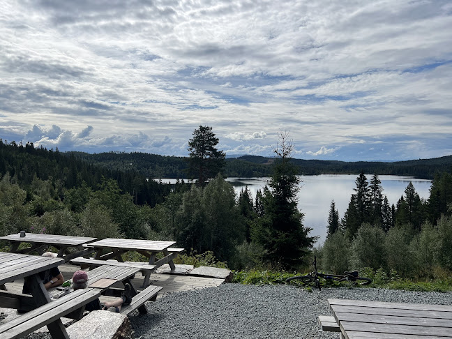 Grønlia - Trondheim