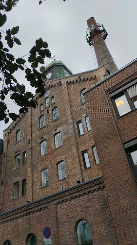 Comentarii opinii despre Ringnes Brygghus