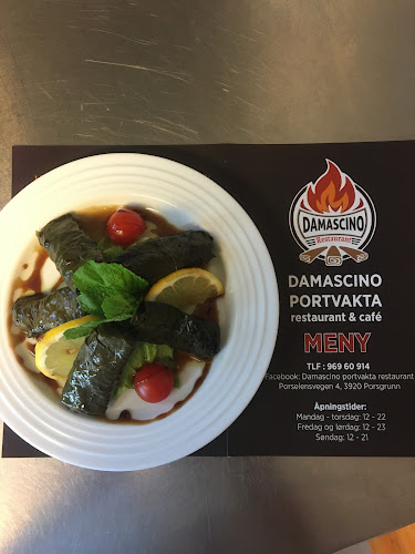 Comentarii opinii despre Damascino Portvakta as