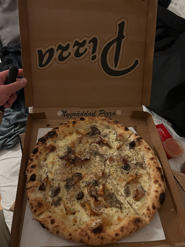 Comentarii opinii despre Jungel Pizza Sagene