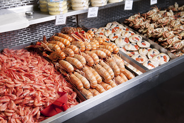 Comentarii opinii despre Brødrene Berggren AS