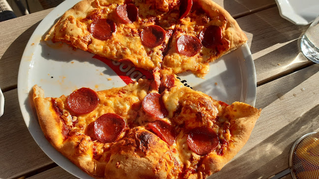 Comentarii opinii despre Fønix