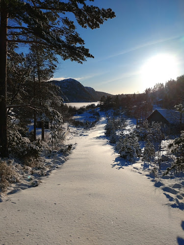 Krågeland Alpinsenter AS - Kvinlog