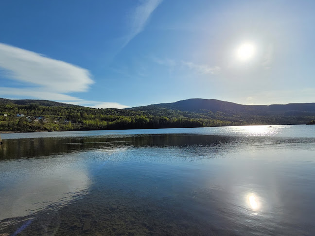 Comentarii opinii despre Gamle Eidsfos Kro