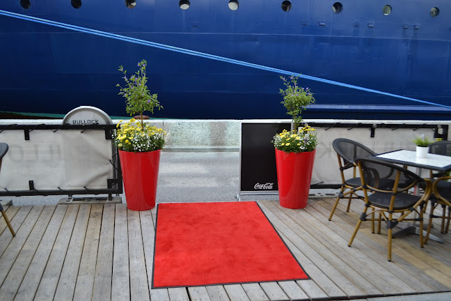 Comentarii opinii despre Bullock Steak & Bar