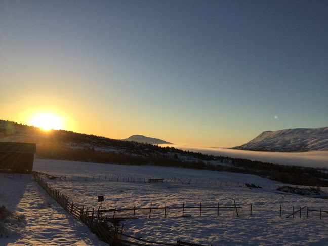 Comentarii opinii despre Syndinstøga