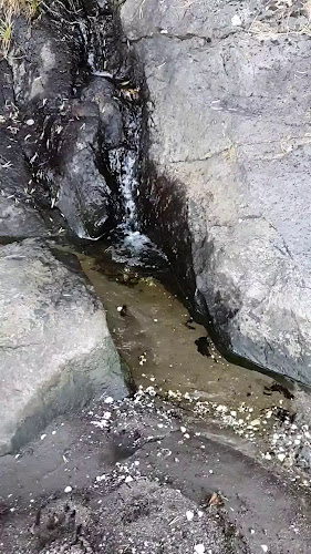 Opinii despre Mikro'n Møllebyen în Moss - Gastronomi og hotellvirksomhet