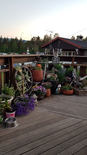 Comentarii opinii despre Blåberg kafé