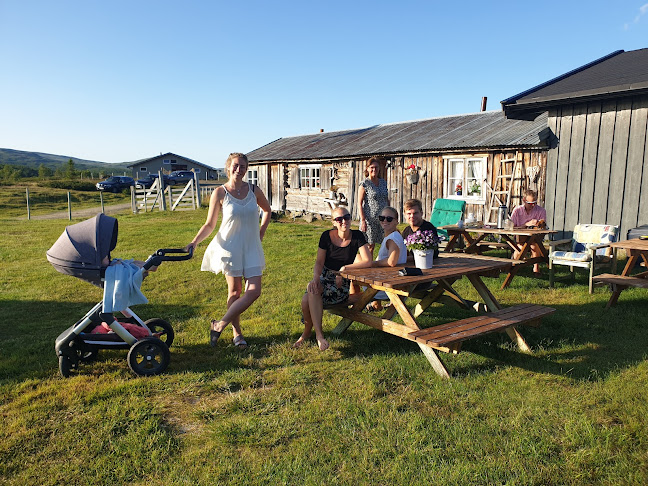 Elgsjømoen Seter - Ålen