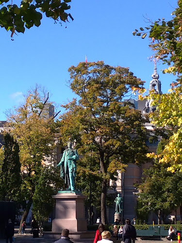 Comentarii opinii despre Økohjertet