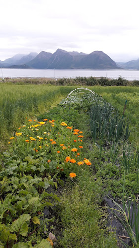 Langøyveien 239, 8404 Sortland