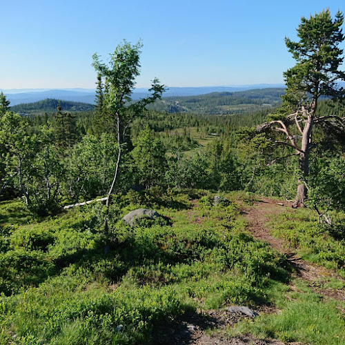 Norefjell klubb - Gastronomi og hotellvirksomhet