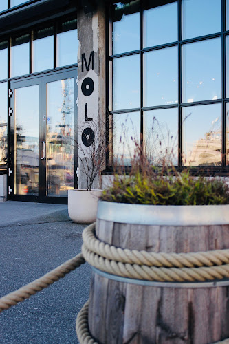 Molo Brew - Gastronomi og hotellvirksomhet