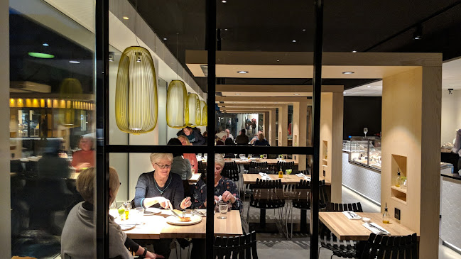 Comentarii opinii despre Noi