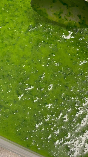 Il Passatore Art Restaurant - Gastronomi og hotellvirksomhet