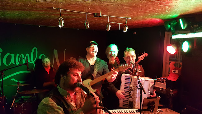 Comentarii opinii despre Gamle Norge pub AS