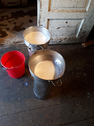 Elgsjømoen Seter - Gastronomi og hotellvirksomhet