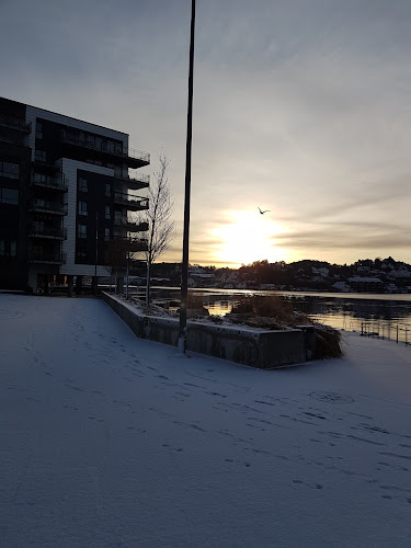 Comentarii opinii despre Arendal Fiskemottak AS