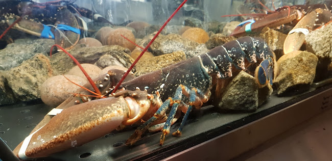 Mathallen Oslo - Oslo