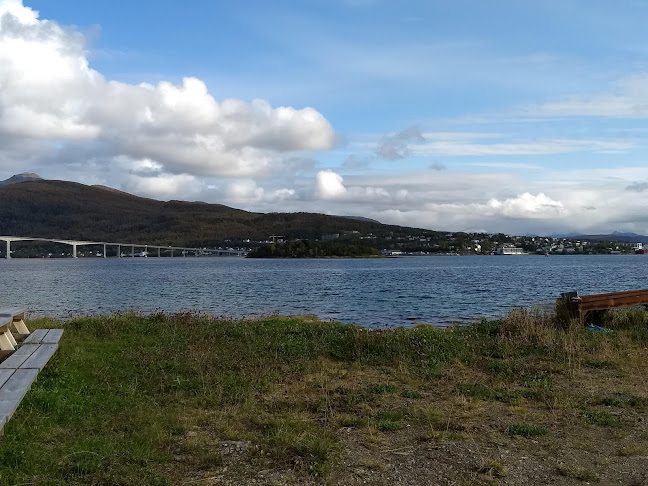 Opinii despre Midnight Riders MC Finnsnes în Silsand - Gastronomi og hotellvirksomhet