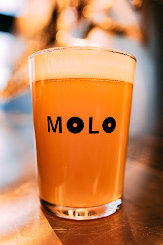 Molo Brew - Ålesund