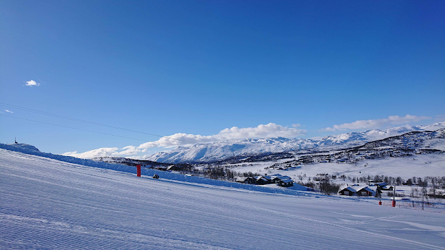 Vierli Kafeteria - Rauland