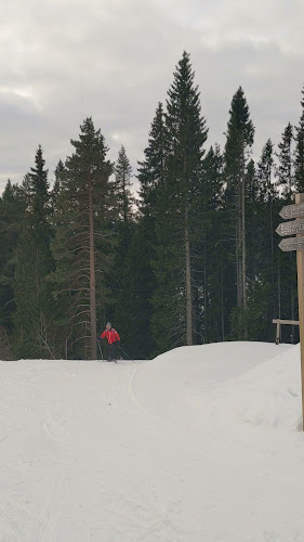 Grønlia - Trondheim