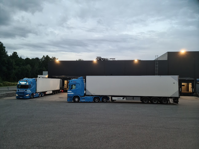 Opinii despre Furuseth AS în Dal - Gastronomi og hotellvirksomhet