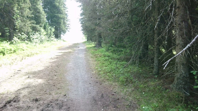 DNT Rønningen Gård - Gastronomi og hotellvirksomhet