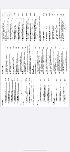 Parkveien 8E, 2500 Tynset