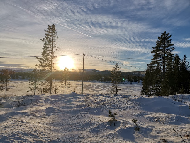 Blåberg kafé - Flesberg