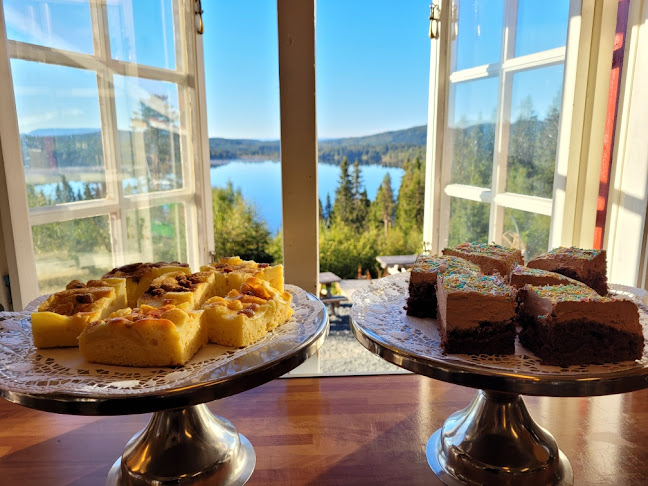 Grønlia - Trondheim