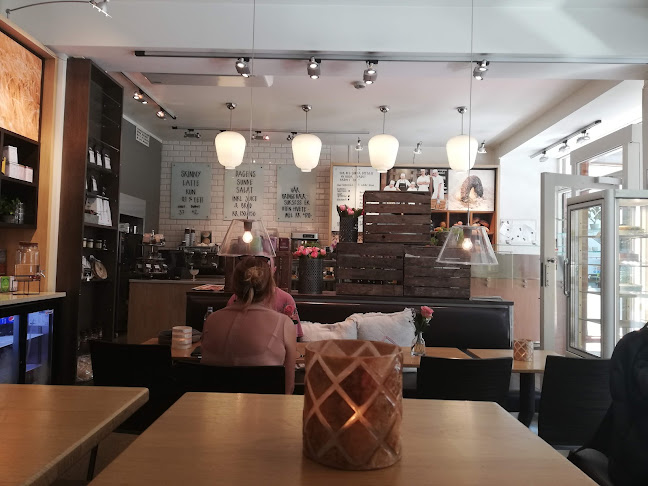 Comentarii opinii despre Baker Hansen Rådhuset