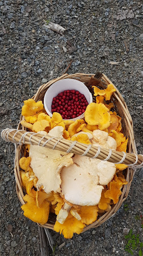 Opinii despre Langevannstua în Larvik - Gastronomi og hotellvirksomhet