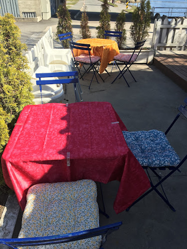 Comentarii opinii despre Damascino Portvakta as