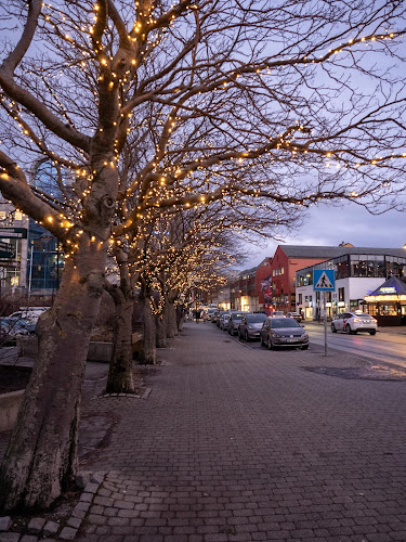Opinii despre Dama Di AS în Bodø - Gastronomi og hotellvirksomhet