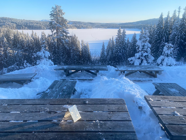 Comentarii opinii despre Grønlia