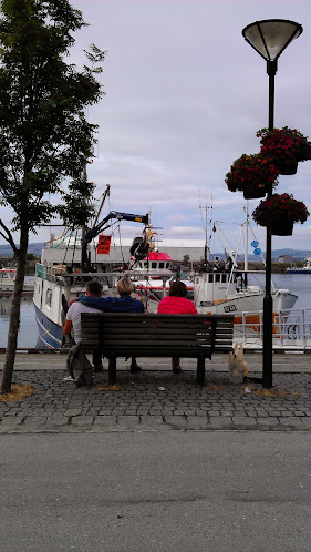 Opinii despre Sjøboden în Sandnessjøen - Gastronomi og hotellvirksomhet