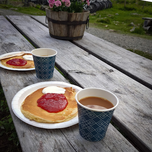 Opinii despre Rallarrosa Stølsysteri în Myrdal - Gastronomi og hotellvirksomhet