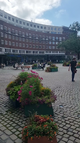 The Fragrance of the Heart