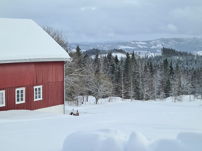 Comentarii opinii despre DNT Rønningen Gård